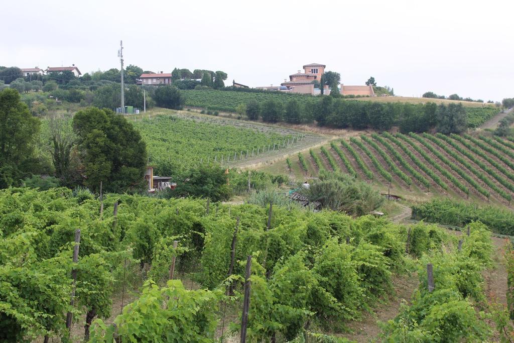 베르티노로 Agriturismo 7 Colonne 빌라 외부 사진