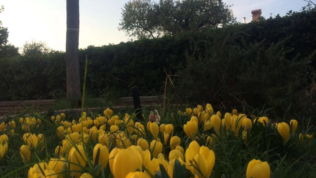 베르티노로 Agriturismo 7 Colonne 빌라 외부 사진